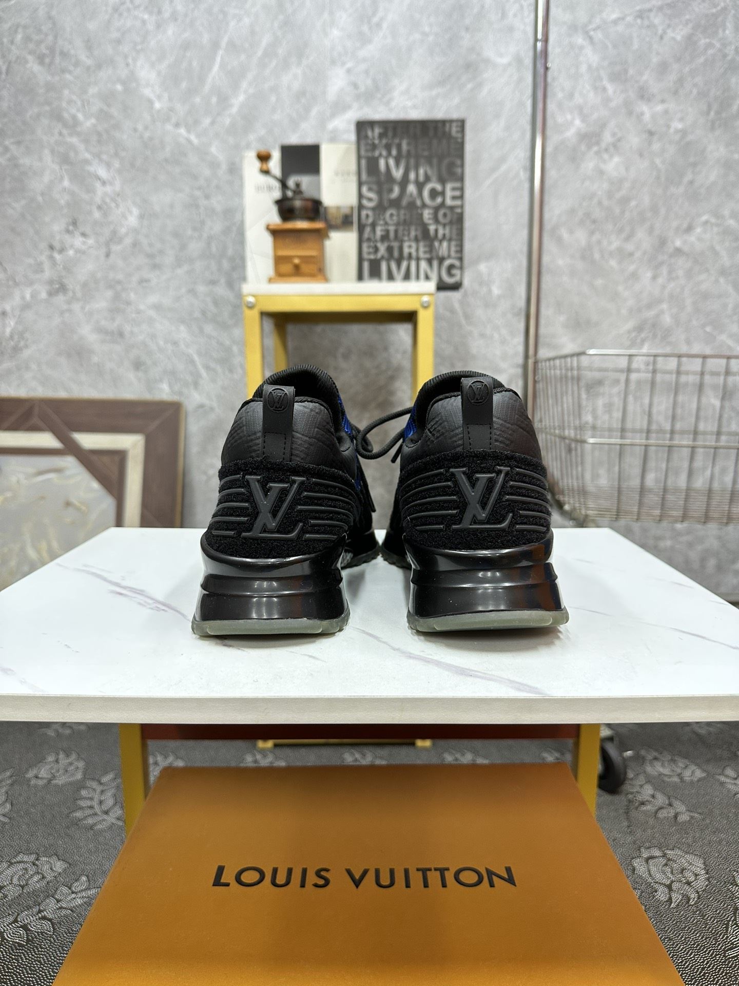 Louis Vuitton Low Shoes